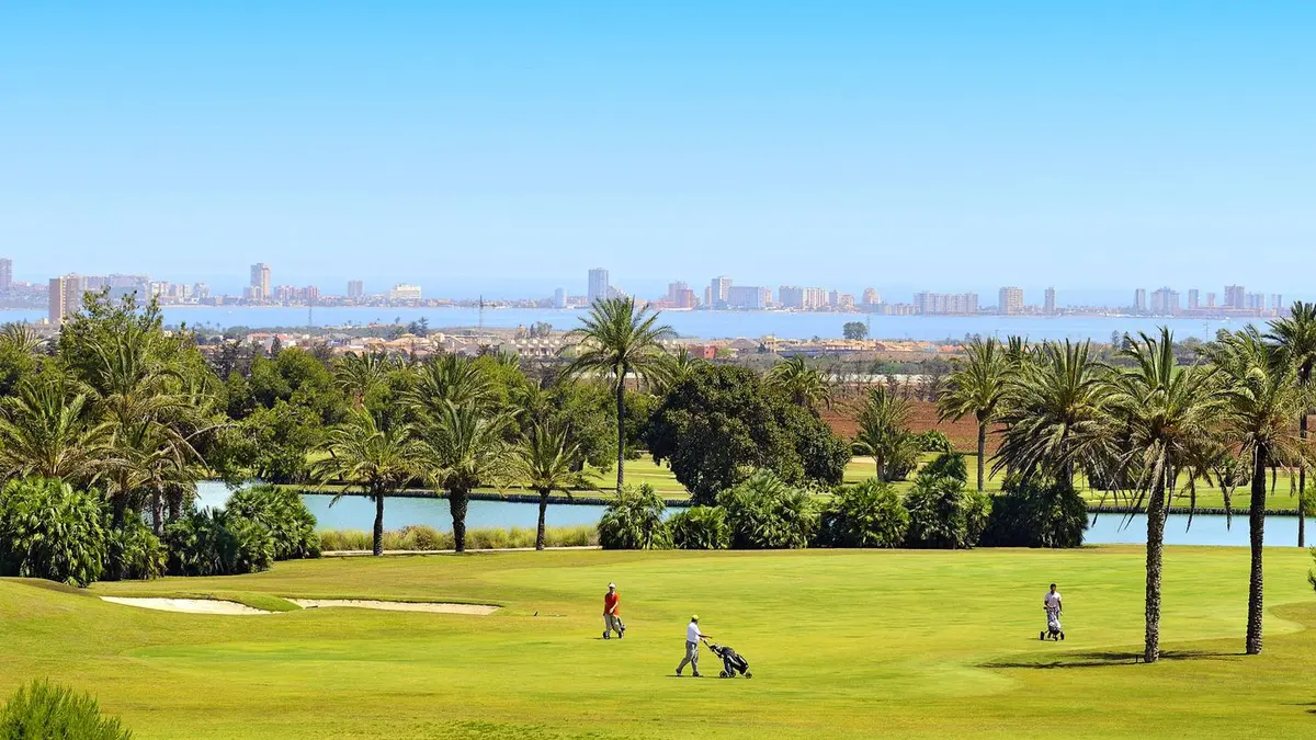 Golfers walking down a fairway lined with palm trees